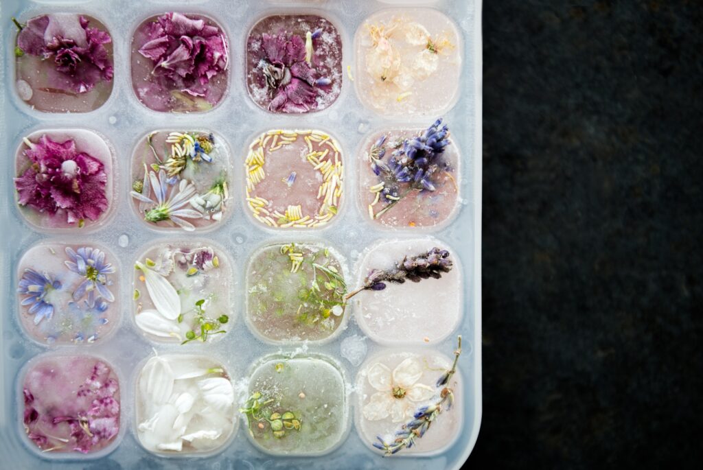 Tray with Frozen Flowers in Ice Cubes